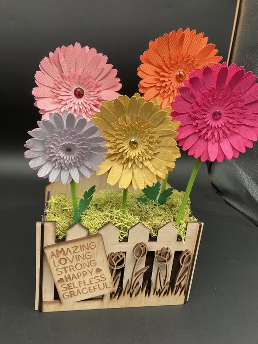lazer flower box